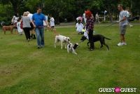 Paws Across The Hamptons Dog Walk To Benefit Southampton Hospital & Animal Shelter Foundation #127