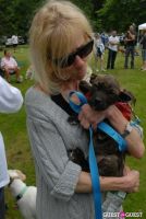 Paws Across The Hamptons Dog Walk To Benefit Southampton Hospital & Animal Shelter Foundation #132