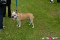 Paws Across The Hamptons Dog Walk To Benefit Southampton Hospital & Animal Shelter Foundation #134