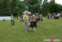 Paws Across The Hamptons Dog Walk To Benefit Southampton Hospital & Animal Shelter Foundation #138
