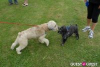 Paws Across The Hamptons Dog Walk To Benefit Southampton Hospital & Animal Shelter Foundation #139