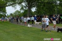 Paws Across The Hamptons Dog Walk To Benefit Southampton Hospital & Animal Shelter Foundation #176