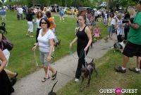 Paws Across The Hamptons Dog Walk To Benefit Southampton Hospital & Animal Shelter Foundation #194