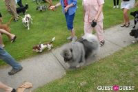 Paws Across The Hamptons Dog Walk To Benefit Southampton Hospital & Animal Shelter Foundation #197