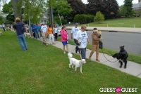 Paws Across The Hamptons Dog Walk To Benefit Southampton Hospital & Animal Shelter Foundation #208