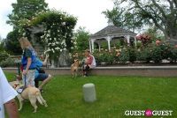 Paws Across The Hamptons Dog Walk To Benefit Southampton Hospital & Animal Shelter Foundation #211