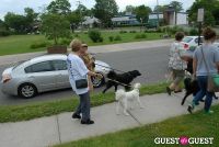 Paws Across The Hamptons Dog Walk To Benefit Southampton Hospital & Animal Shelter Foundation #214