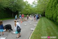 Paws Across The Hamptons Dog Walk To Benefit Southampton Hospital & Animal Shelter Foundation #219