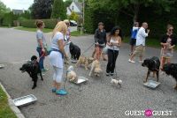 Paws Across The Hamptons Dog Walk To Benefit Southampton Hospital & Animal Shelter Foundation #221