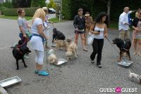 Paws Across The Hamptons Dog Walk To Benefit Southampton Hospital & Animal Shelter Foundation #223