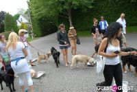 Paws Across The Hamptons Dog Walk To Benefit Southampton Hospital & Animal Shelter Foundation #225
