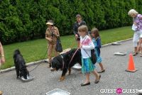Paws Across The Hamptons Dog Walk To Benefit Southampton Hospital & Animal Shelter Foundation #226