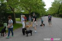 Paws Across The Hamptons Dog Walk To Benefit Southampton Hospital & Animal Shelter Foundation #227