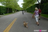 Paws Across The Hamptons Dog Walk To Benefit Southampton Hospital & Animal Shelter Foundation #229