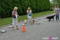 Paws Across The Hamptons Dog Walk To Benefit Southampton Hospital & Animal Shelter Foundation #230