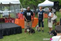 Paws Across The Hamptons Dog Walk To Benefit Southampton Hospital & Animal Shelter Foundation #286