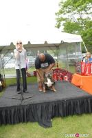 Paws Across The Hamptons Dog Walk To Benefit Southampton Hospital & Animal Shelter Foundation #290
