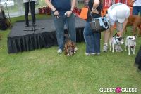 Paws Across The Hamptons Dog Walk To Benefit Southampton Hospital & Animal Shelter Foundation #295