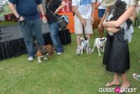 Paws Across The Hamptons Dog Walk To Benefit Southampton Hospital & Animal Shelter Foundation #296
