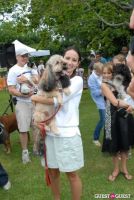 Paws Across The Hamptons Dog Walk To Benefit Southampton Hospital & Animal Shelter Foundation #301