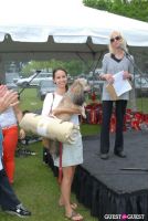 Paws Across The Hamptons Dog Walk To Benefit Southampton Hospital & Animal Shelter Foundation #302