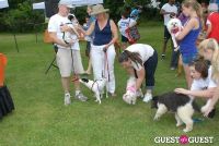 Paws Across The Hamptons Dog Walk To Benefit Southampton Hospital & Animal Shelter Foundation #305