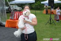 Paws Across The Hamptons Dog Walk To Benefit Southampton Hospital & Animal Shelter Foundation #309