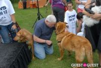 Paws Across The Hamptons Dog Walk To Benefit Southampton Hospital & Animal Shelter Foundation #312