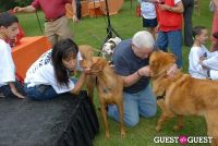 Paws Across The Hamptons Dog Walk To Benefit Southampton Hospital & Animal Shelter Foundation #315