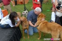 Paws Across The Hamptons Dog Walk To Benefit Southampton Hospital & Animal Shelter Foundation #317