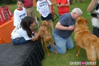 Paws Across The Hamptons Dog Walk To Benefit Southampton Hospital & Animal Shelter Foundation #318