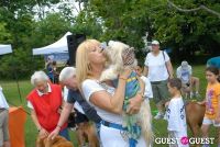 Paws Across The Hamptons Dog Walk To Benefit Southampton Hospital & Animal Shelter Foundation #328
