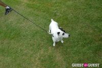 Paws Across The Hamptons Dog Walk To Benefit Southampton Hospital & Animal Shelter Foundation #333