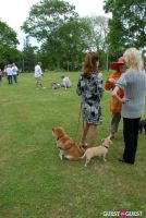Paws Across The Hamptons Dog Walk To Benefit Southampton Hospital & Animal Shelter Foundation #335