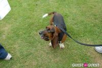 Paws Across The Hamptons Dog Walk To Benefit Southampton Hospital & Animal Shelter Foundation #336