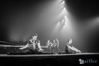 Cirque Du Soleil: TOTEM #1