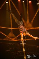Cirque Du Soleil: TOTEM #5