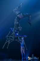 Cirque Du Soleil: TOTEM #12