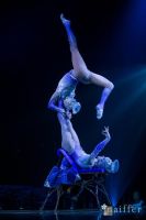 Cirque Du Soleil: TOTEM #15