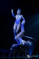 Cirque Du Soleil: TOTEM #16