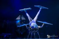 Cirque Du Soleil: TOTEM #17
