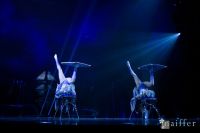 Cirque Du Soleil: TOTEM #20