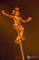Cirque Du Soleil: TOTEM #37