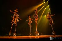 Cirque Du Soleil: TOTEM #40