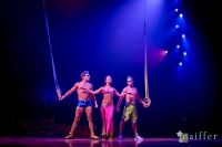 Cirque Du Soleil: TOTEM #43