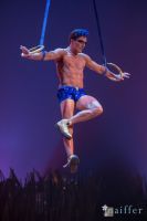 Cirque Du Soleil: TOTEM #44