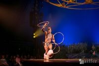 Cirque Du Soleil: TOTEM #53