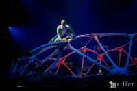 Cirque Du Soleil: TOTEM #59