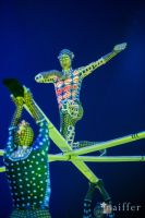 Cirque Du Soleil: TOTEM #84