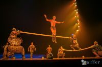 Cirque Du Soleil: TOTEM #91